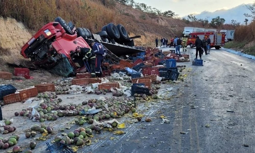 Motorista morre em acidente com caminhão de manga na BR-251 no Norte de  Minas - Jornal O Popular