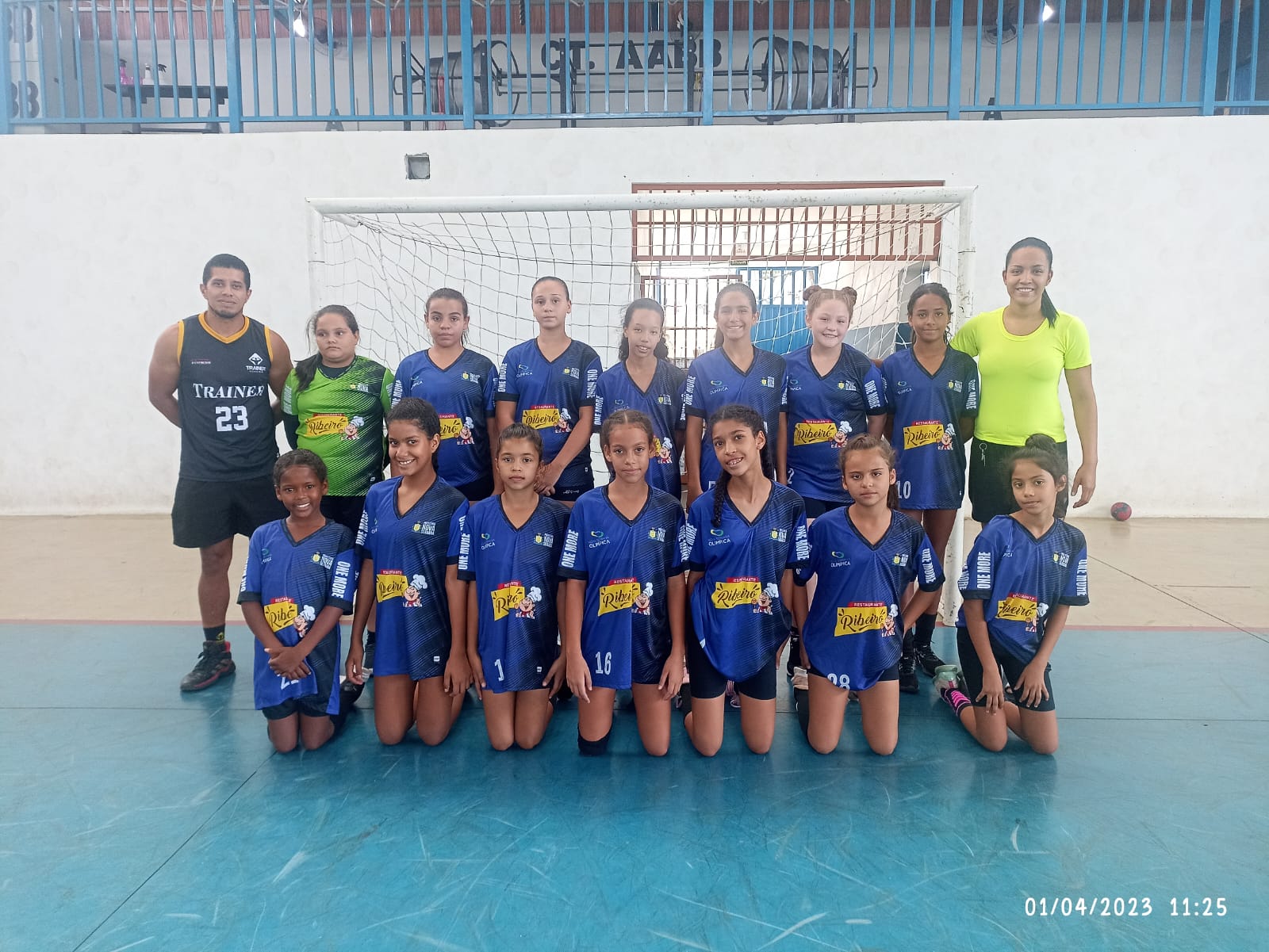 Federação Mineira de Handebol