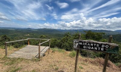 parque-estadual-mata-do-limoeiro-ganha-novo-atrativo-turistico