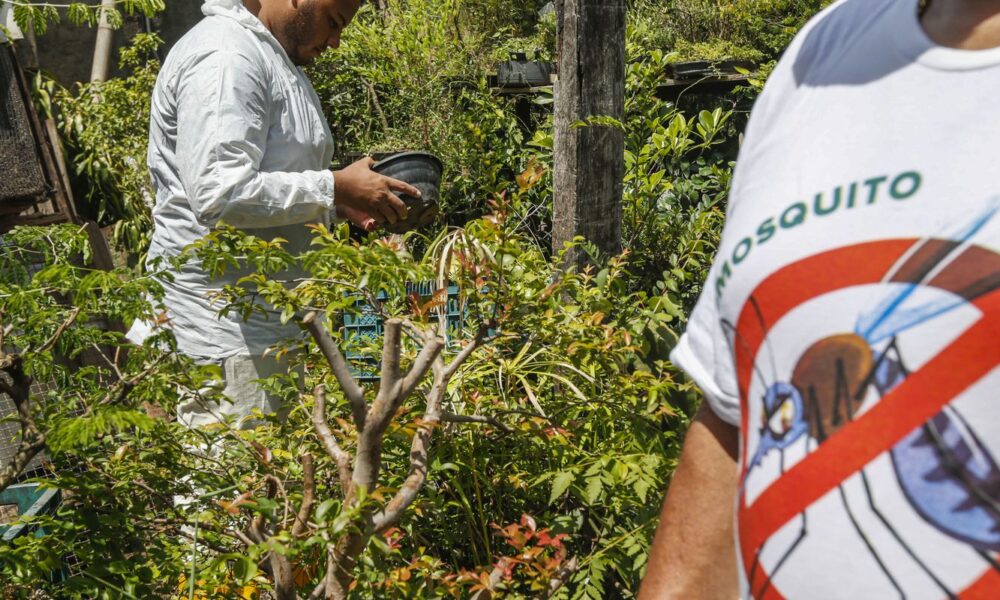 brasil-registra-mais-de-2-milhoes-de-casos-de-dengue