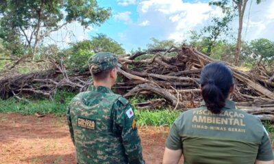 governo-de-minas-fiscaliza-alvos-suspeitos-de-desmatamento-ilegal-no-triangulo-mineiro