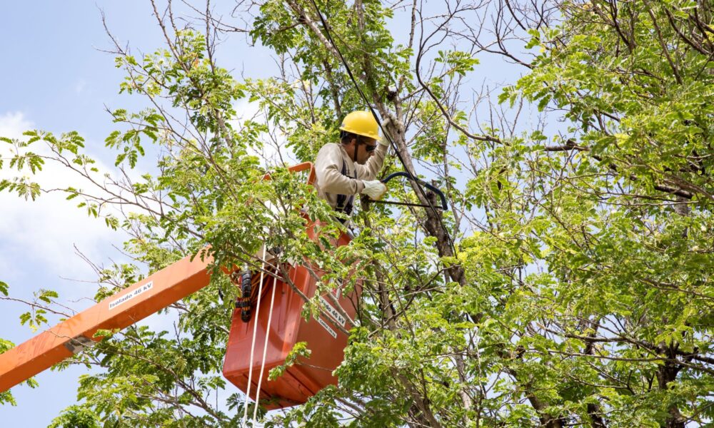 cemig-vai-investir-r$-58-milhoes-em-manutencao-preventiva-na-regiao-metropolitana-de-belo-horizonte