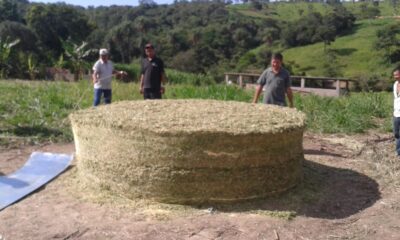 produtores-rurais-do-norte-de-minas-se preparam-para-enfrentar-o-periodo-de-seca