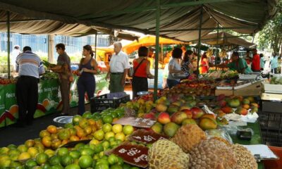 feira frutas alimentos