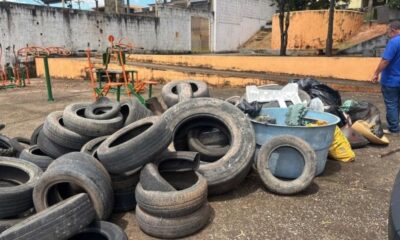 Material recolhido em ação contra a dengue em Divinópolis — Foto: Prefeitura/Divulgação