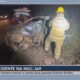 Acidente entre dois carros mata motorista na MGC-369, em São Francisco de Paula - Créditos: g1/Divulgação