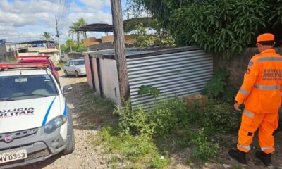 Bebê é localizado dentro de caixa de papelão em Formiga — Foto: Corpo de Bombeiros/Divulgação