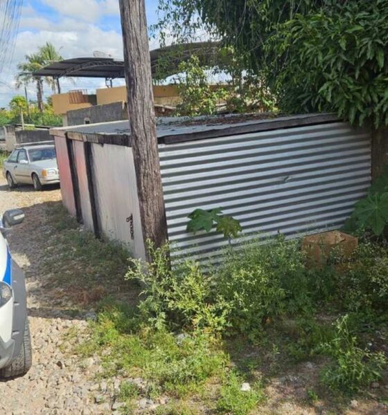 Bebê é localizado dentro de caixa de papelão em Formiga — Foto: Corpo de Bombeiros/Divulgação