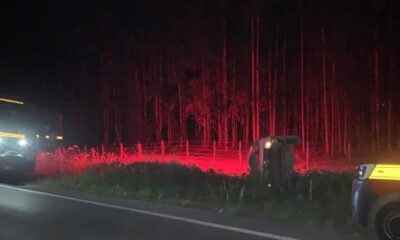 Caminhonete para às margens da rodovia em Arcos após capotar — Foto: Corpo de Bombeiros/Divulgação