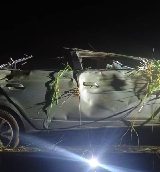 Motorista morre em acidente na MG-050, em Pedra do Indaiá — Foto: PMRv/Divulgação