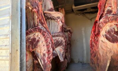 1 de 2 700kg de carnes foram apreendidas segundo a polícia — Foto: PMMA/Divulgação