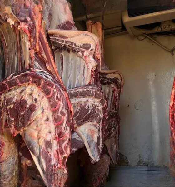 1 de 2 700kg de carnes foram apreendidas segundo a polícia — Foto: PMMA/Divulgação