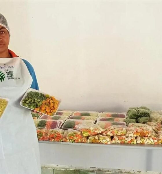 Sindicato dos Produtores Rurais oferece cursos gratuitos em Perdigão com vagas limitadas - Fonte: PortalVHNews