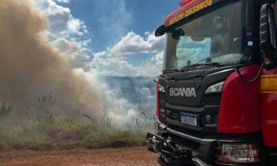 Bombeiros combatem incêndio em lote vago em Pará de Minas — Foto: Corpo de Bombeiros/Divulgação