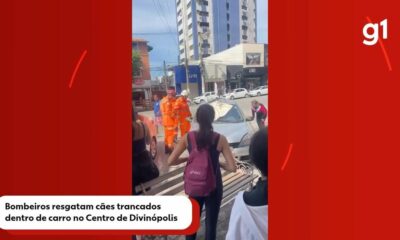 Cães são resgatados de dentro de carro no Centro de Divinópolis — Foto: Reprodução/Rede Social