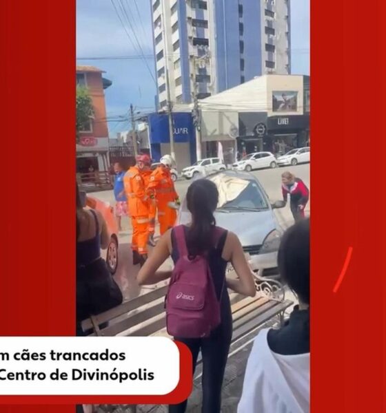 Cães são resgatados de dentro de carro no Centro de Divinópolis — Foto: Reprodução/Rede Social