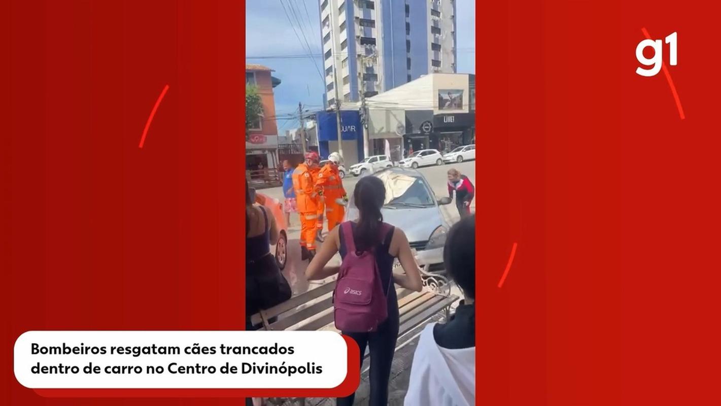 Cães são resgatados de dentro de carro no Centro de Divinópolis — Foto: Reprodução/Rede Social