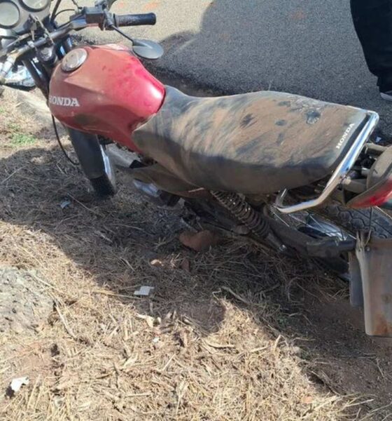 Motociclista morreu após bater a moto em que estava em um barranco — Foto: PRF/Divulgação