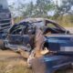 Motorista morre após bater de frente com caminhão em Pompéu — Foto: PMRv/Divulgação