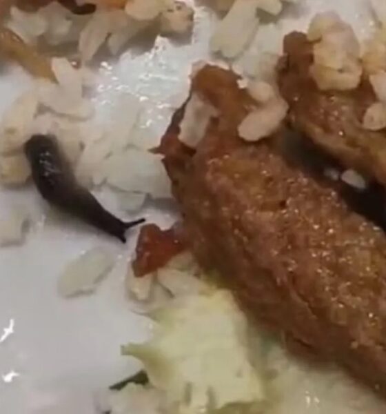 Lesma viva foi encontrada andando dentro do prato de estudante no Cefet de Divinópolis — Foto: Reprodução/Redes sociais