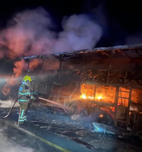 Ônibus que saiu de Martinho Campos com destino a Caldas Novas em Goiás pegou fogo na BR-262 — Foto: Corpo de Bombeiros/Divulgação