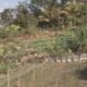 Fonte:Portal VH News