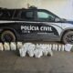 Operação Ianque desarticula quadrilha especializada em furtos e roubos a propriedades rurais no Sul de Minas — Foto: Polícia Civil